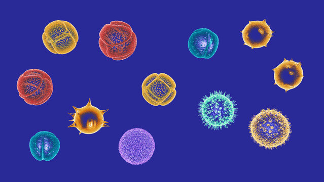 3D illustration of various pollen grains moving in the air. These grains cause several spring allergies. Presented in a transparent scientific graphic style on a blue background.