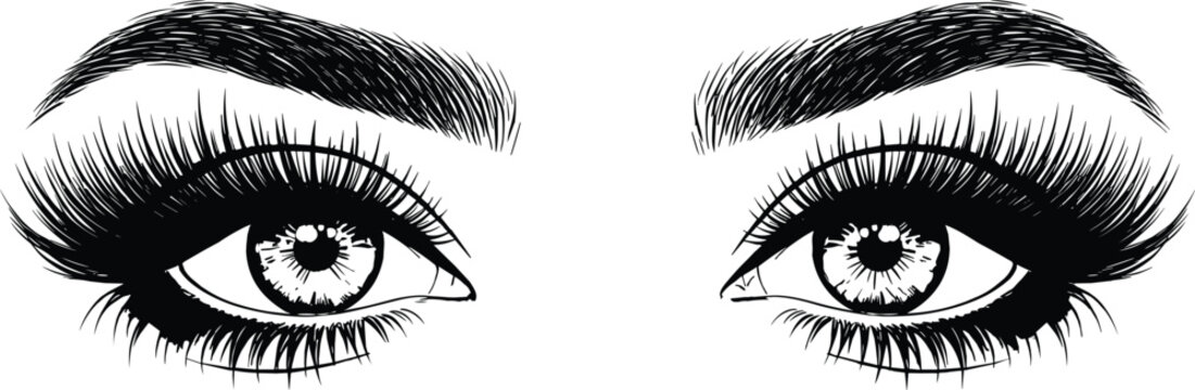 Beautiful female eyes with long eyelashes and eyebrows hand drawn sketch style black and white vector illustration for beauty design