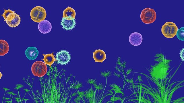 3D animation of various flowers and plants with different pollen grains moving in the air. These grains cause spring allergies. Presented in a transparent scientific graphic style, blue background.