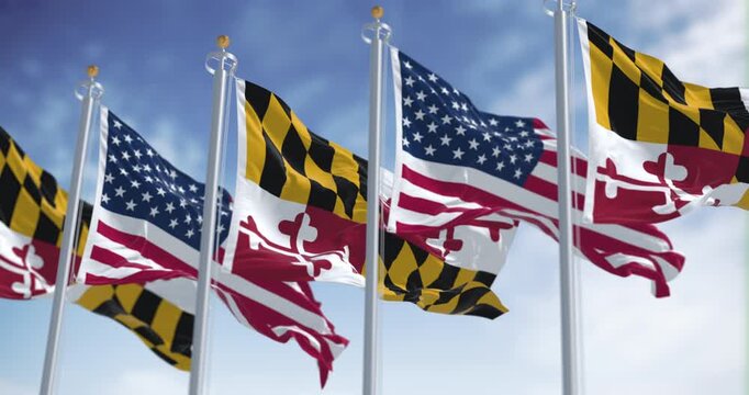 Maryland state flags waving in the wind with the american national flags on a clear day. Seamless 3d render animation. Slow motion loop. Selective focus