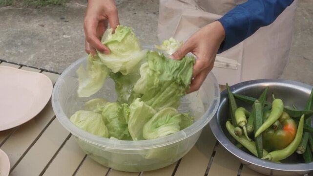 Hands washing lettuce leaves in a plastic bowl outdoors, with fresh okra and green peppers in a metal bowl on a table
