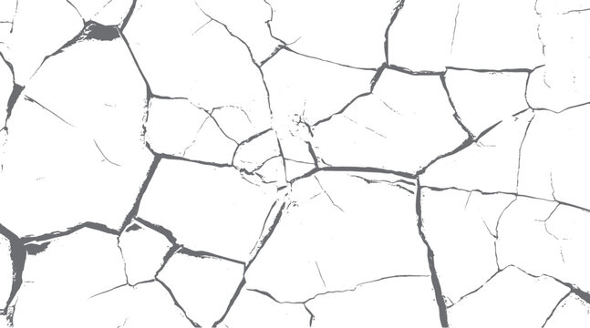 Abstract pattern of cracked dry earth surface with grey lines on white background texture