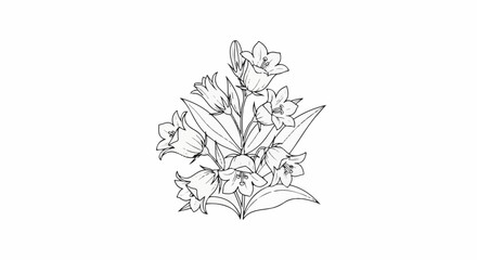 Fototapeta premium Delicate line drawing of a bouquet of bell-shaped flowers with leaves