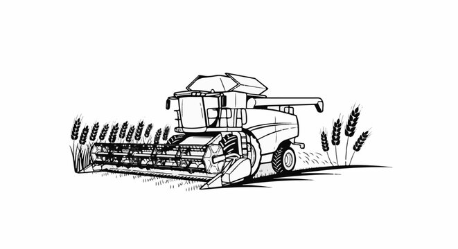 Combine harvester cutting wheat in a field