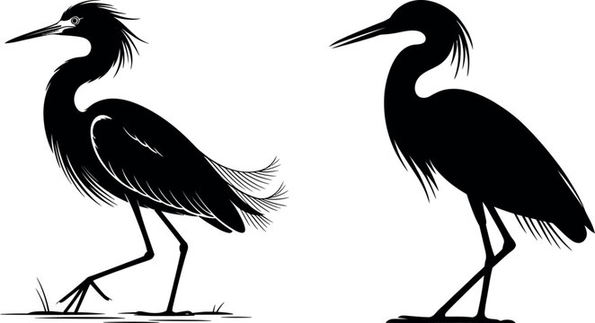 Two silhouette illustrations of herons one in profile and one walking wading bird long legs long neck wildlife silhouette illustration