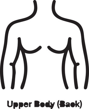 Human upper body back outline in minimalist black line art on white background for anatomy education