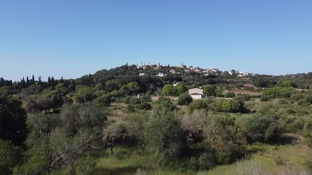 Aerial drone shot of a traditional Mallorca Mediterranean village of Buger on a hill, surrounded by organized orange groves and lush green landscape.