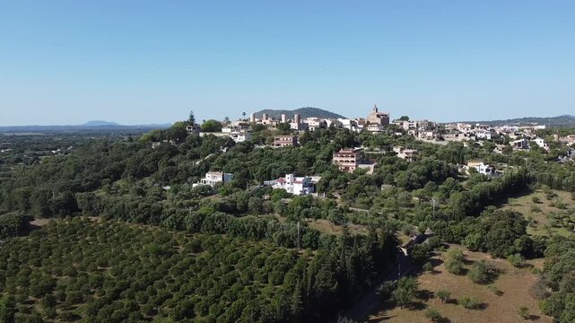 Aerial drone shot of a traditional Mallorca Mediterranean village of Buger on a hill, surrounded by organized orange groves and lush green landscape.