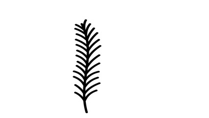 Fototapeta premium minimalist black leaf illustration on white background