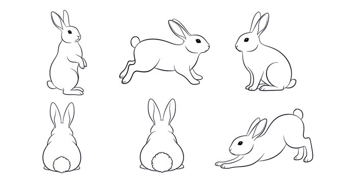Collection of rabbit line drawings.