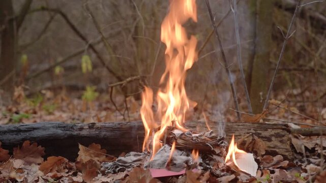 Closeup photo of woman burning papers on fire in forest Flames rising over scattered letters in forest setting, symbolizing emotional closure and release of the past