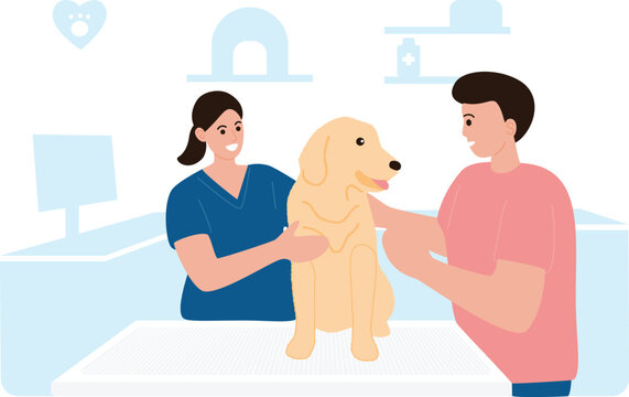 Female Veterinarian and Male Owner Examining Golden Retriever in Clinic