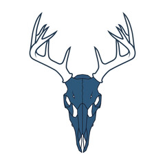 Deer Skull with Large Antlers Illustration. © Gisel