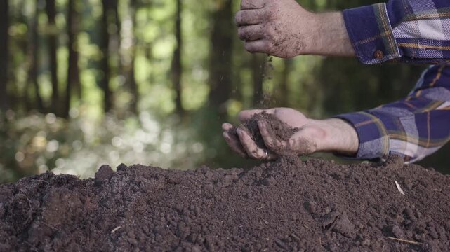 Hands holding soil. Farmers hands full of soil. Pouring soil and testing soil. Gardener examining earth and compost fertility.