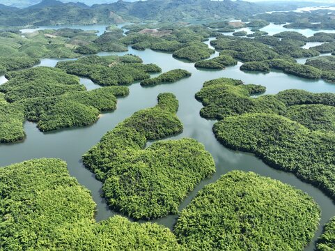 drone view of the namnguem lake, lao PDR 02