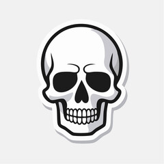 Fototapeta premium Stylized Skull Illustration