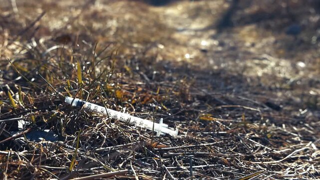 Used medical syringe carelessly discarded in the dry grass, symbolizing issues of drug abuse, addiction, and environmental pollution in a public space, posing a serious health hazard