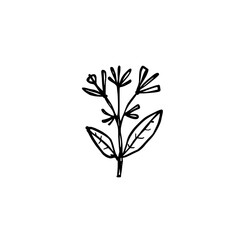 Yarrow flower icon logo design. Floral bloom sign and symbol. Yarrow flower icon. Minimal hand drawn doodle style botanical illustration for nature logo. © Salma