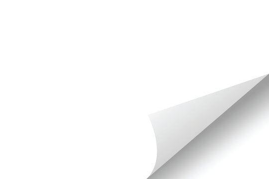 Curled corner paper. Curl flip peel sheet of page. Paper rolled fold.