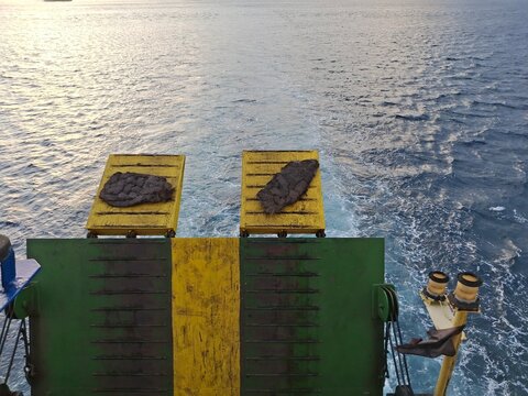 Rear view of a ferry ship sailing on the ocean, showing the green and yellow metal loading ramp, rope fenders, and water wake. Maritime transport, sea travel, and voyage concept.