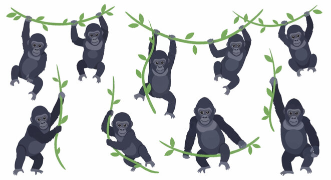 Group of monkeys hanging from vines.