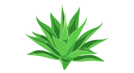 Fototapeta premium Vibrant Green Agave Plant Illustration Isolated on White Background