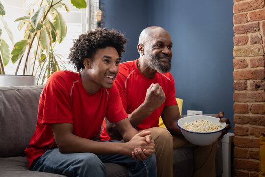 Father and son watching a sports game together
