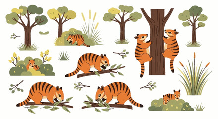 Fototapeta premium Tigers in forest habitat scene.