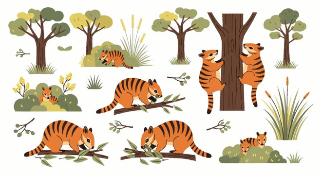 Tigers in forest habitat scene.