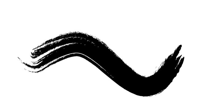 An isolated vector illustration featuring a close up of a brown earthworm and a feather on white, styled like a nature brush stroke to depict the organic texture of a leech or animal
