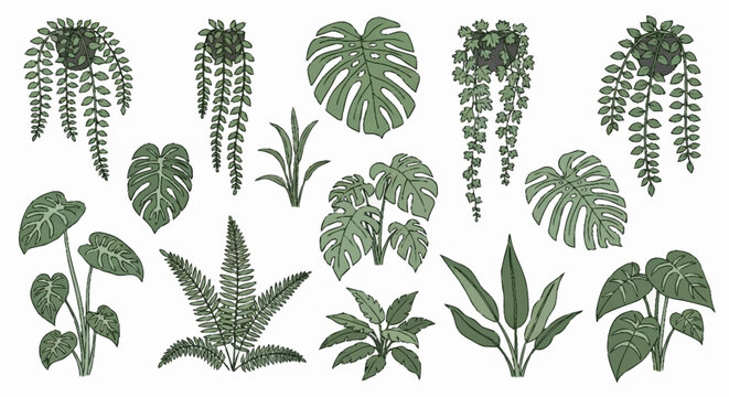 Variety of Tropical Green Leaves.