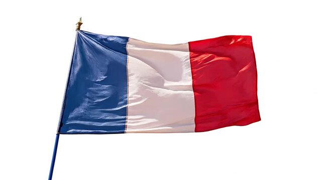 French flag on a pole isolated on  white background waving in the wind, HD video loopable footage, seamless loop
