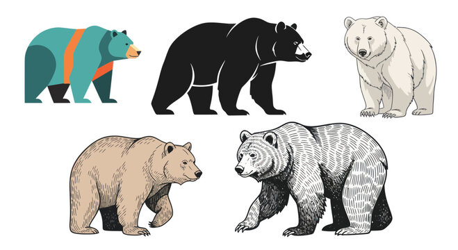 Diverse Bear Collection: Cartoon, Sketch, and Realistic Styles
