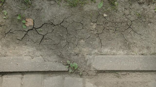 Exhausted dry soil near sidewalk path. Destruction of nature in urban conditions. Dry cracked surface of soil in arid days, top view.