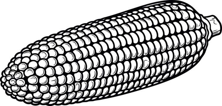 Simple clean blank image with no visible elements or details