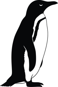 Penguin silhouette a striking black and white avian illustration