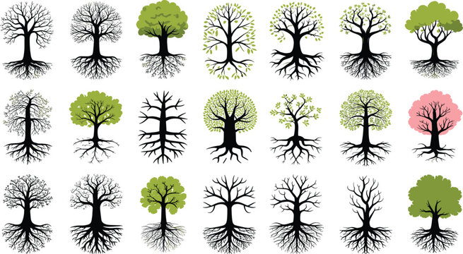 Tree life cycle vector collection showing seasonal changes, roots and branches variations, botanical growth stages, and nature elements isolated on white