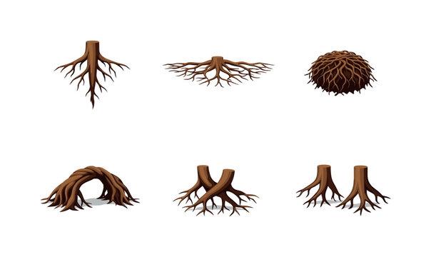 Set of illustrated tree stumps and exposed root systems, including tangled roots, branching rhizomes, and a root ball, isolated on white background