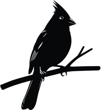Black silhouette of a cardinal perched on a branch minimalist design