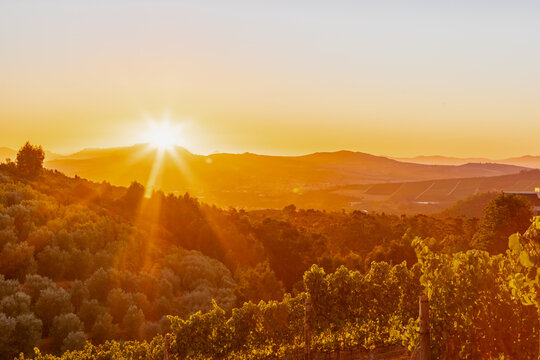 Amazing early sunset seen from the famous vineyards of the Delaire Graff estate of the Stellenbosch region, a city close to Cape Town. With winelands as far as you can see against a spectacular backdr