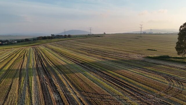 Horizontal Wide-Angle Drone View of a Harvested Agricultural Field with Curved Tractor Tracks, a Lone Tree, and a Distant Mountain at Sunset