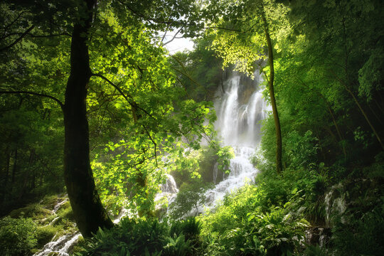 Beautiful waterfall framed with green lush trees in pleasant sunlight. Forest scenery of freshness in majestic nature.