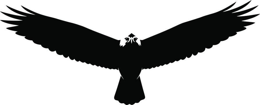 Silhouette of a raven with a castle on its back
