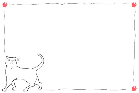 cat postcard