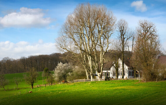 Farmhouse in a rural idyll with green meadow, bare trees, blue sky and white clouds