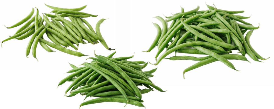 set of fresh green beans haricot verts isolated png on white background for salad, stir fry, casserole, side dish and kitchen design

