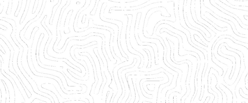 Abstract black and white topographic contour lines pattern background