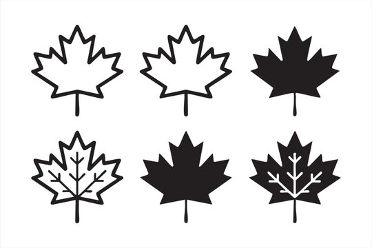 Maple leaf icons outline and silhouette set vector collection.