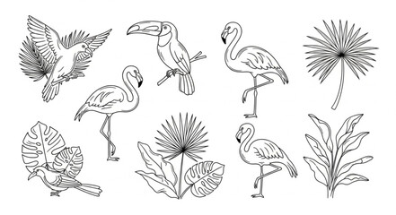 Obraz premium Collection of Tropical Birds and Plants Hand Drawn Sketch.