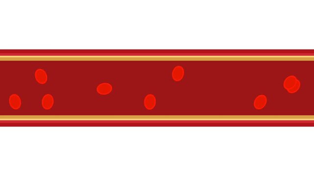 2D Animated Red Blood Cells Flowing Through a Blood Vessel, Medical Flat Design
